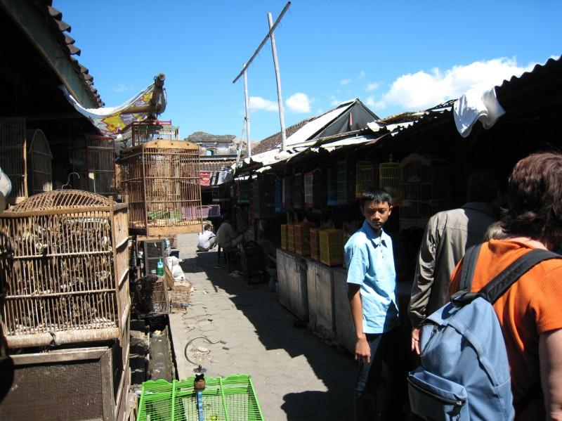 2007 07 11 BALI 0037.jpg
